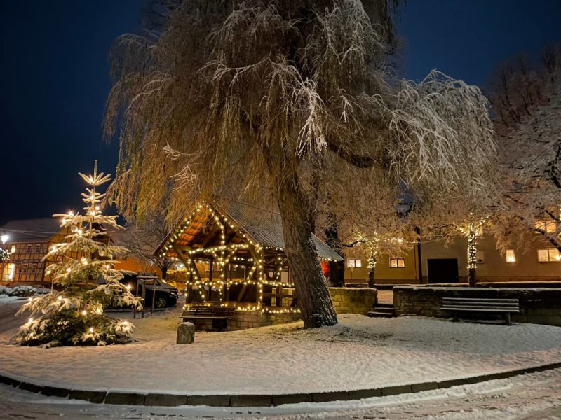 Winterbild