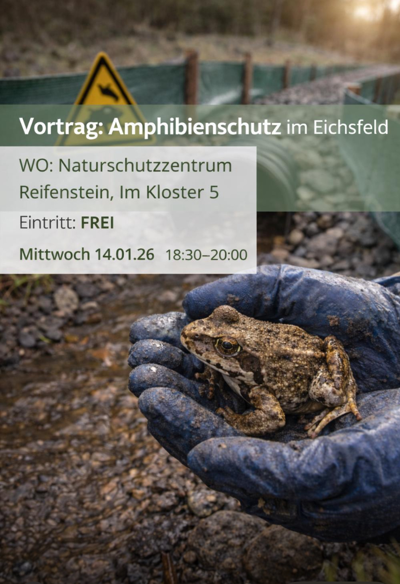 Vortrag Amphibienschutz im Eichsfeld