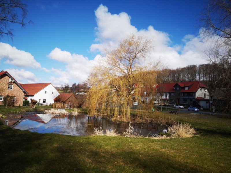 weiteres Foto des Teichs in Kreuzebra