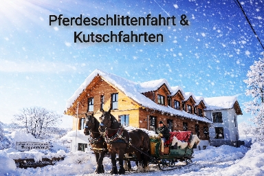 Pferdeschlittenfahrten & Kutschfahrten im Raum Bickenriede (individuell) Pferdeschlittenfahrten & Kutschfahrten im Raum Bickenriede (individuell)