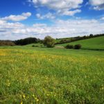 Rundwanderweg_Kefferhausen_21052021 (51)
