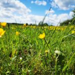Rundwanderweg_Kefferhausen_21052021 (57)