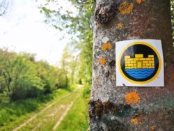 Rundwanderweg_Kefferhausen_21052021 (70)